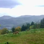 Vue Sur Les Montagnes Lapoutroie