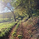 Vue Sur Les Montagnes * Lapoutroie