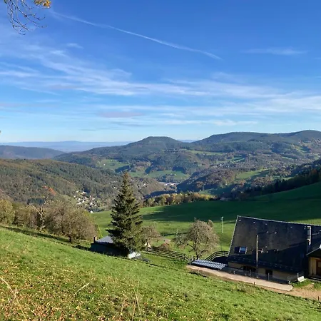 Vue Sur Les Montagnes * Lapoutroie