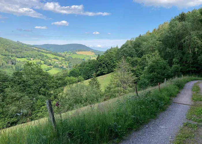Feriehus Vue Sur Les Montagnes Lapoutroie