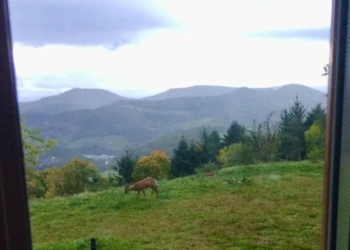 Vue Sur Les Montagnes Lapoutroie