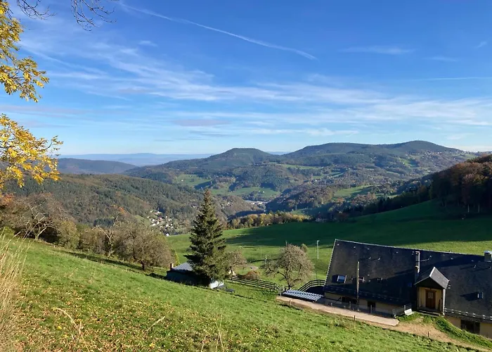 Vue Sur Les Montagnes * Lapoutroie