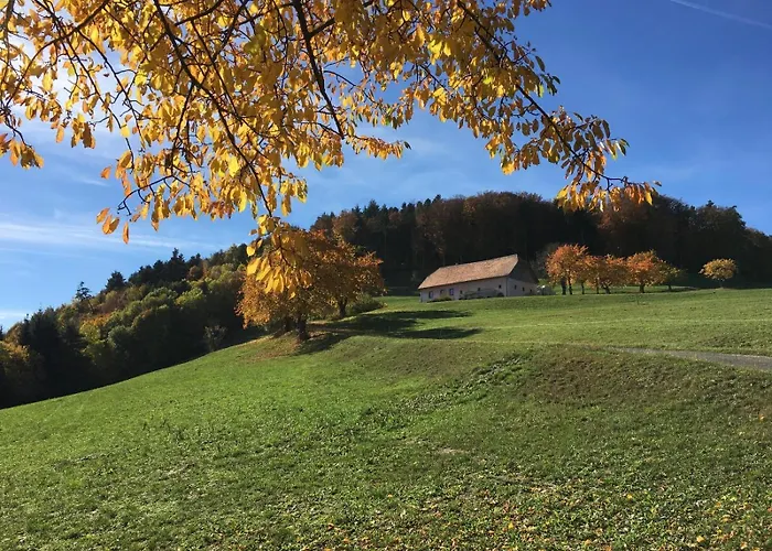 Vue Sur Les Montagnes